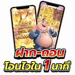 slot ระบบ wallet
